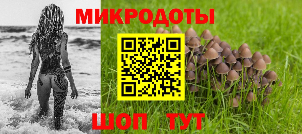 Гусиноозёрск  Галлюциногенные грибы мухоморы  купить наркотики цена  Псилоцибиновые грибы мицелий  Вход с VPN 