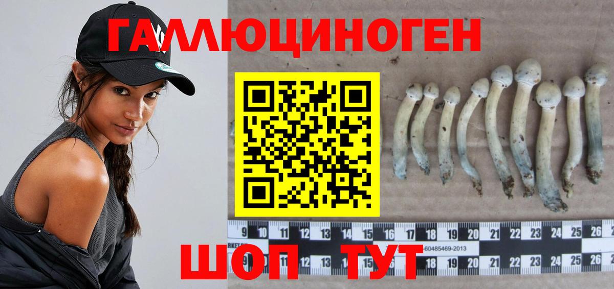 Псилоцибиновые грибы Magic Shrooms Гусиноозёрск